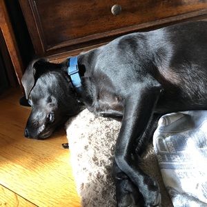 Meet your Posher, Aariel